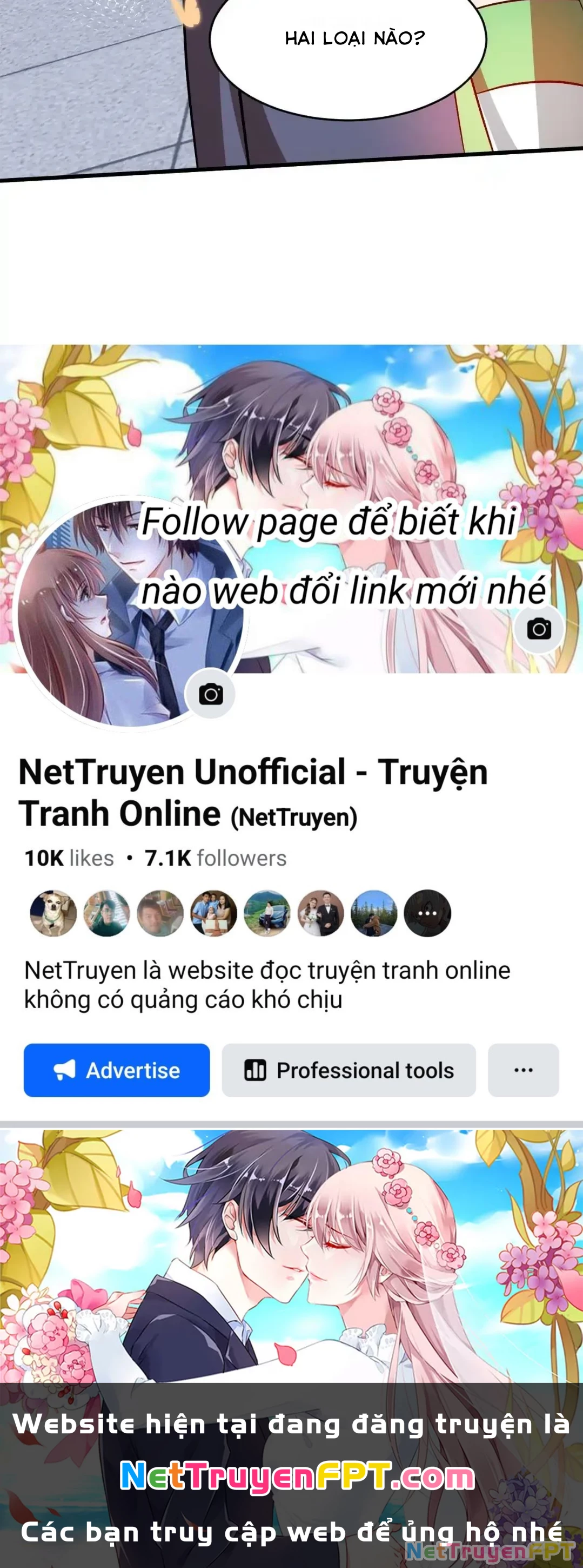 Nương Tử CủA Ta Hơn MộT CáI KìA Lạ Chapter 62 - Trang 2