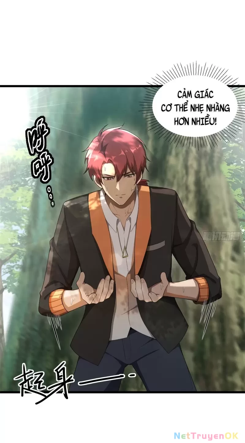 Trùng Sinh 1998 Ta Làm Thập Nhị Đại Phú Hào Chapter 21 - Trang 2