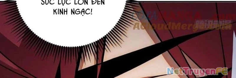 Trùng Sinh 1998 Ta Làm Thập Nhị Đại Phú Hào Chapter 24 - Trang 2