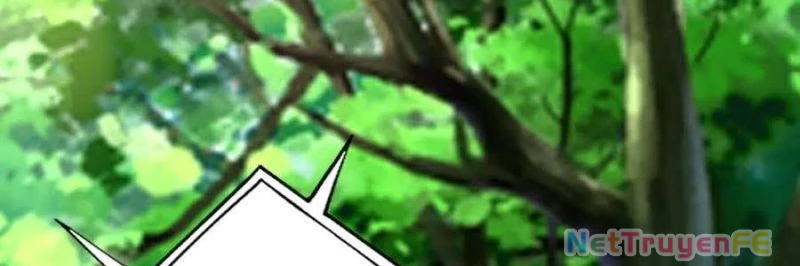 Trùng Sinh 1998 Ta Làm Thập Nhị Đại Phú Hào Chapter 24 - Trang 2