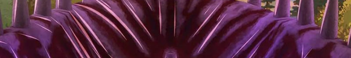 Ta Có Thể Cướp Đoạt Cơ Duyên Chapter 52 - Trang 2
