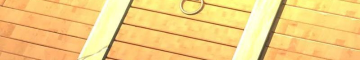 Ta Có Thể Cướp Đoạt Cơ Duyên Chapter 58 - Trang 2