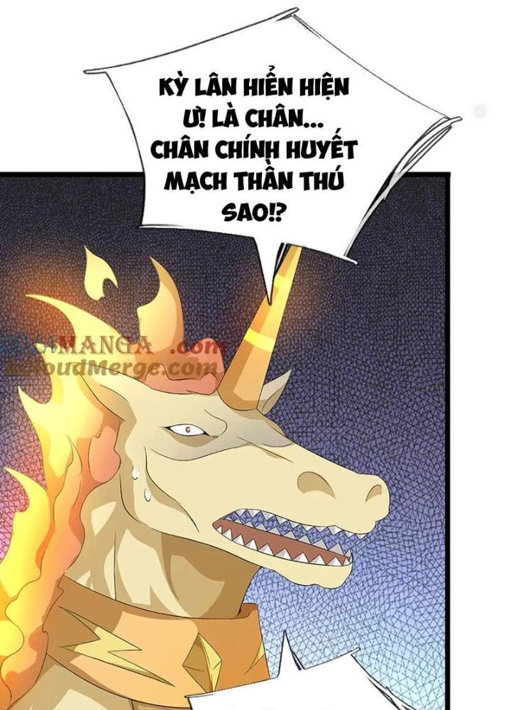 Ta Có Thể Cướp Đoạt Cơ Duyên Chapter 64 - Trang 2