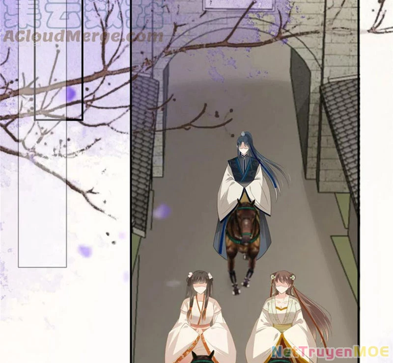 Tà Vương Phúc Hắc Sủng Nhập Cốt Chapter 205 - Trang 2