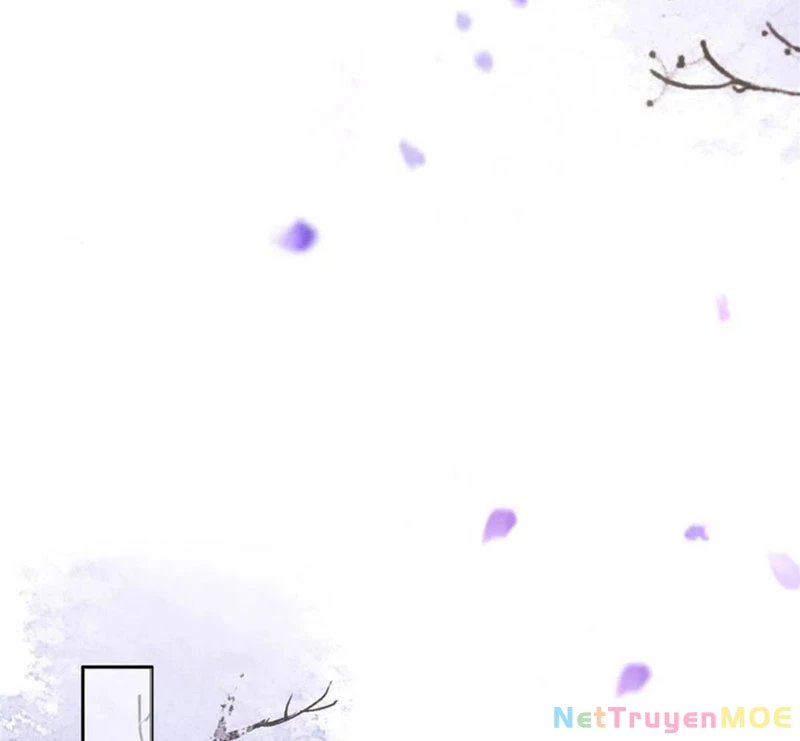 Tà Vương Phúc Hắc Sủng Nhập Cốt Chapter 205 - Trang 2