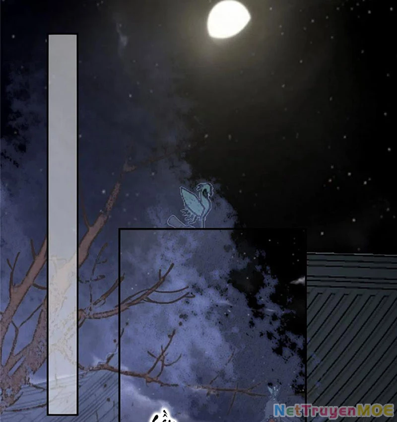 Tà Vương Phúc Hắc Sủng Nhập Cốt Chapter 208 - Trang 2