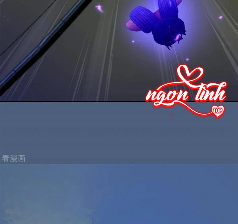 Tà Vương Phúc Hắc Sủng Nhập Cốt Chapter 215 - Trang 2