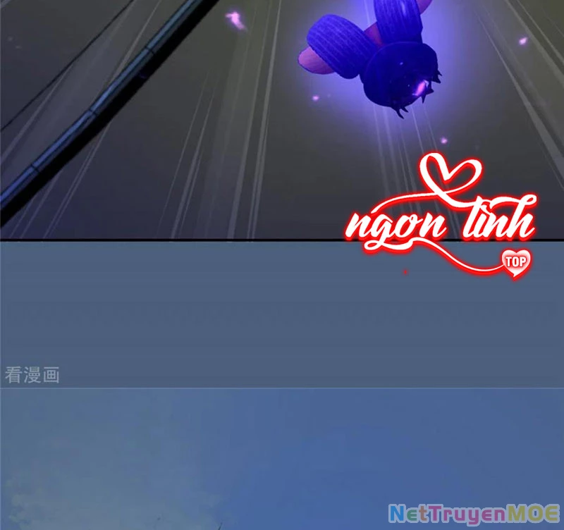 Tà Vương Phúc Hắc Sủng Nhập Cốt Chapter 216 - Trang 2