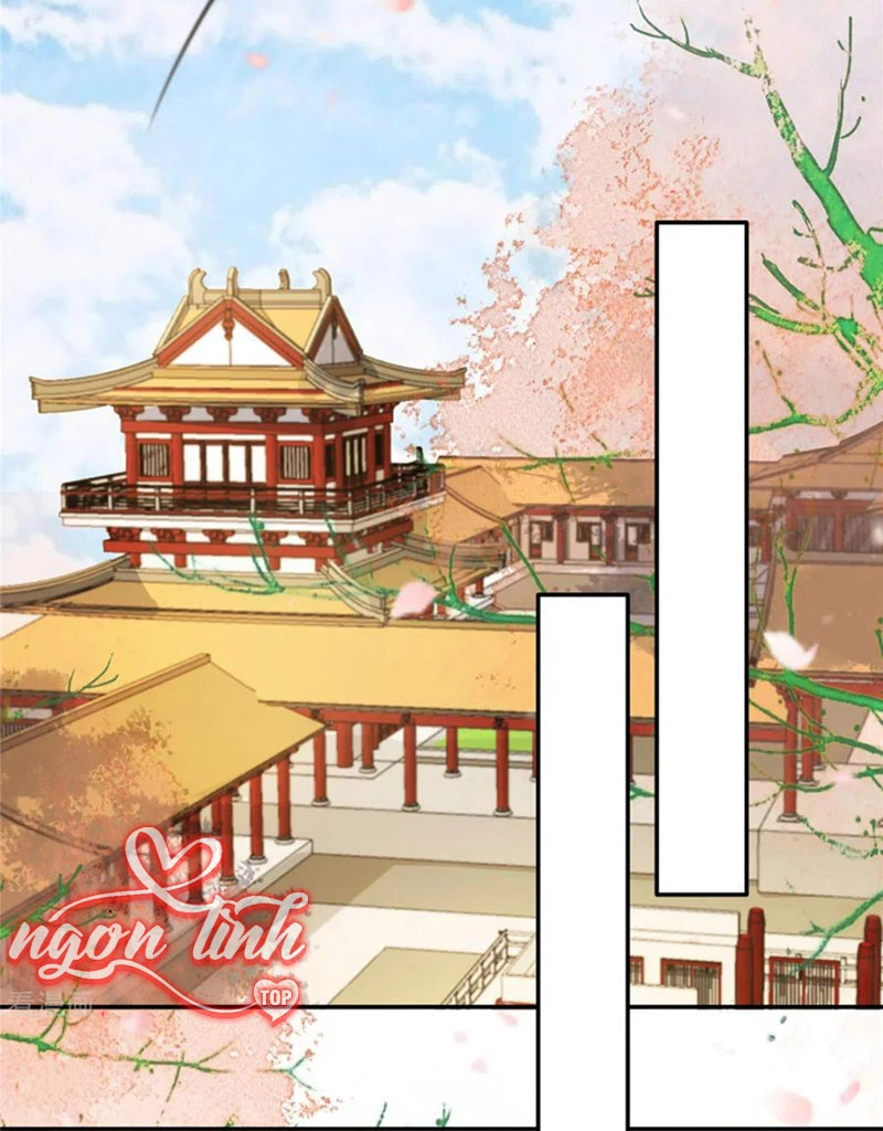 Tà Vương Phúc Hắc Sủng Nhập Cốt Chapter 219 - Trang 2