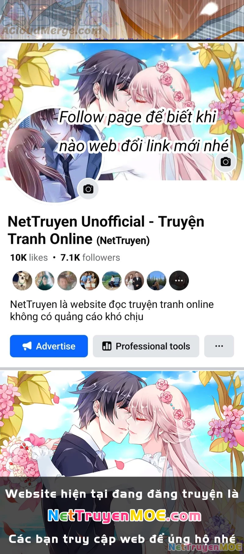 Tà Vương Phúc Hắc Sủng Nhập Cốt Chapter 228 - Trang 2