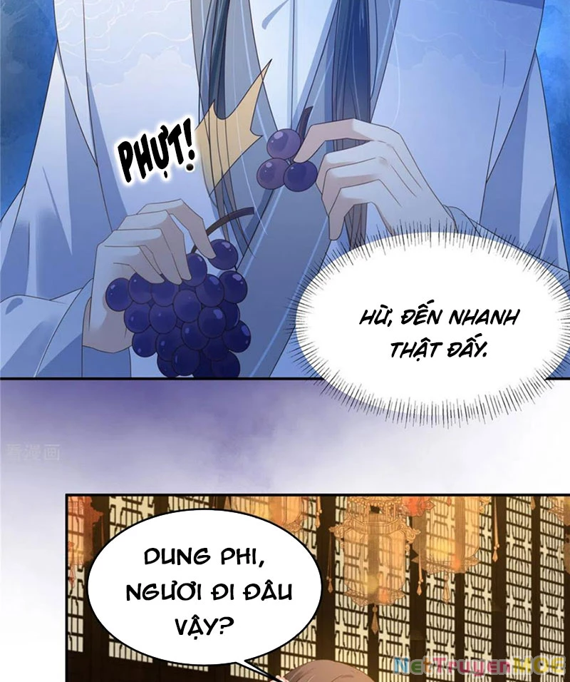 Tà Vương Phúc Hắc Sủng Nhập Cốt Chapter 237 - Trang 2