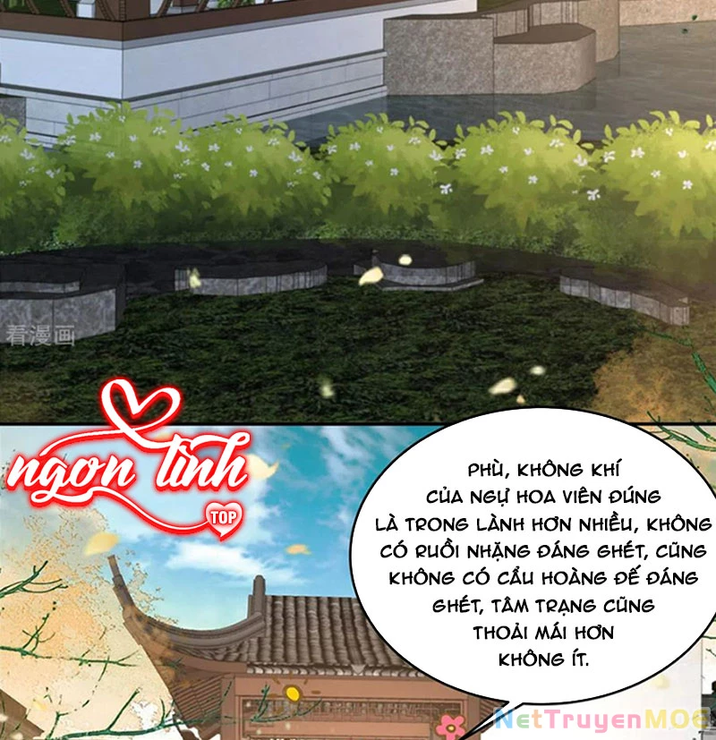 Tà Vương Phúc Hắc Sủng Nhập Cốt Chapter 238 - Trang 2