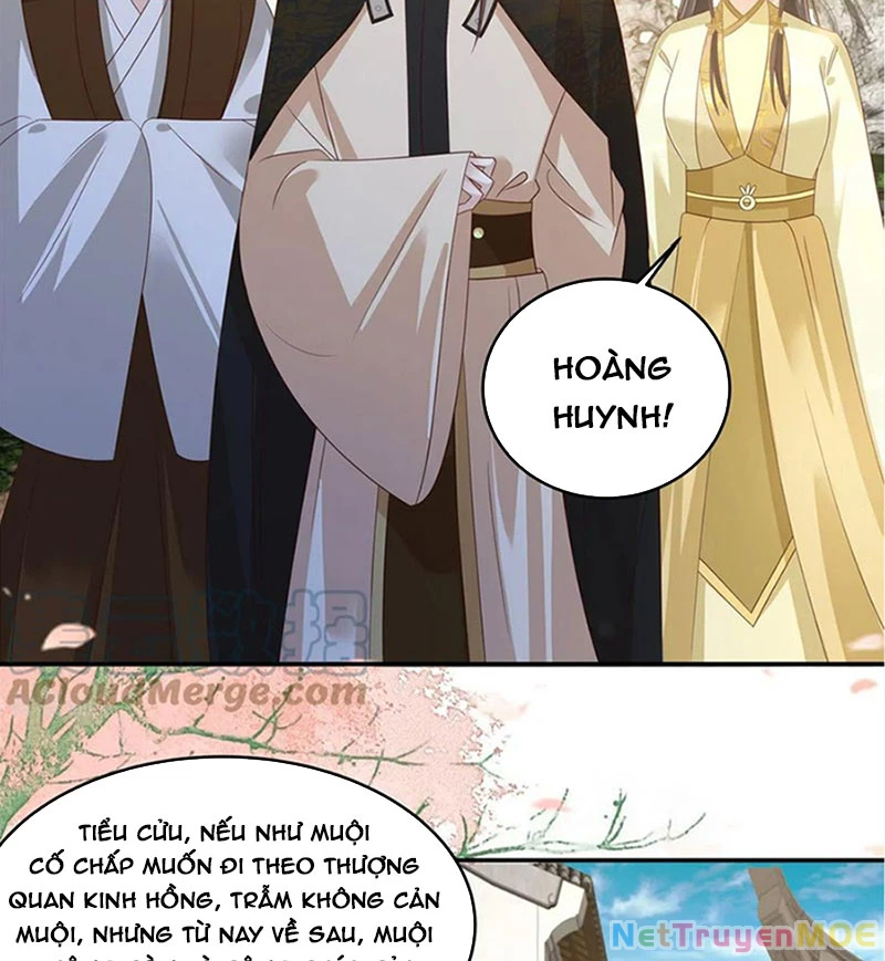 Tà Vương Phúc Hắc Sủng Nhập Cốt Chapter 240 - Trang 2