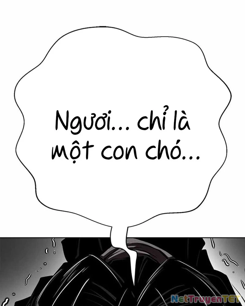 Bất Khả Chiến Bại Chapter 43 - Trang 2