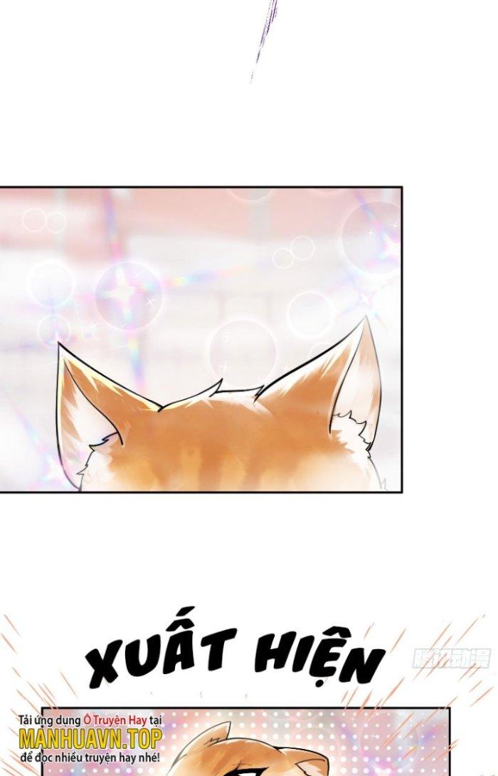Thần Cấp Khế Ước: Bắt Đầu Từ Một Con Mèo Chapter 1 - Trang 2