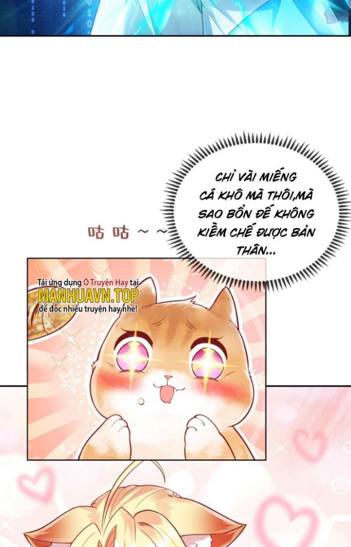 Thần Cấp Khế Ước: Bắt Đầu Từ Một Con Mèo Chapter 2 - Trang 2