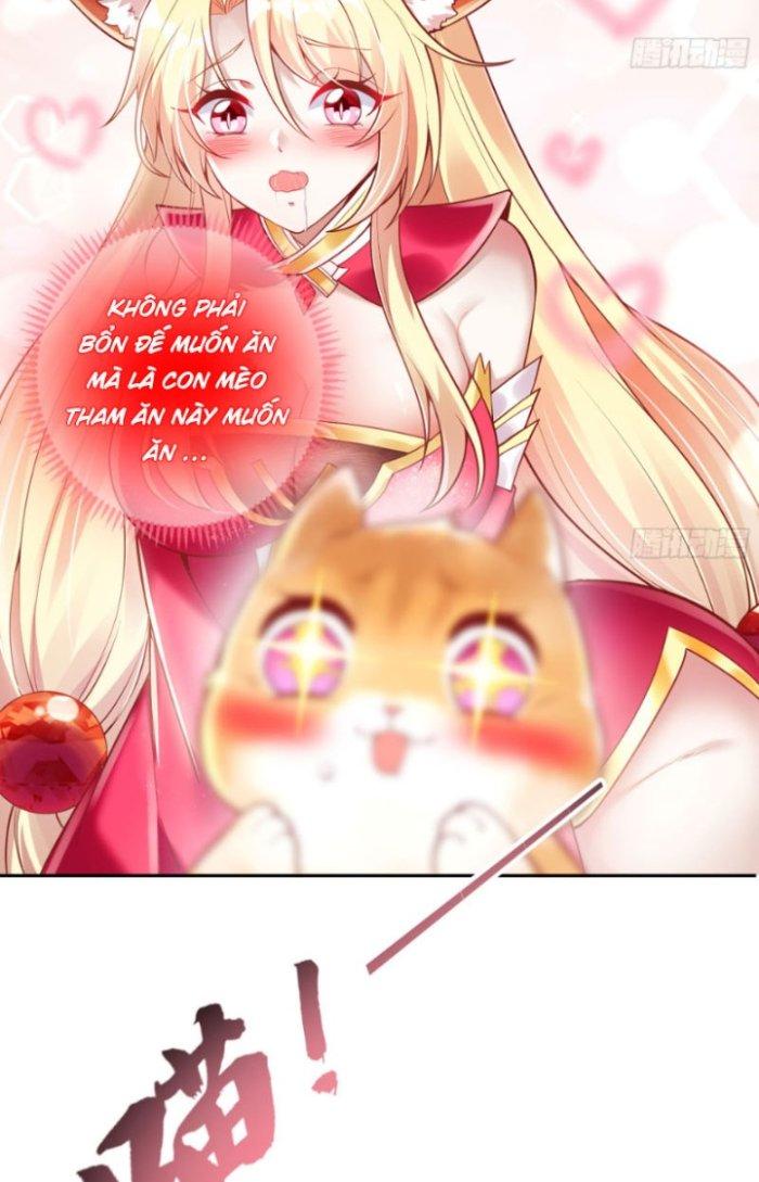Thần Cấp Khế Ước: Bắt Đầu Từ Một Con Mèo Chapter 2 - Trang 2