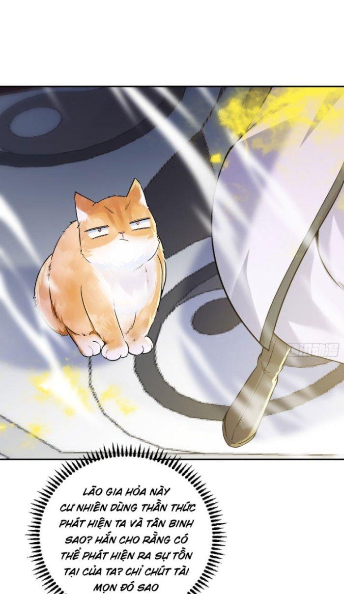 Thần Cấp Khế Ước: Bắt Đầu Từ Một Con Mèo Chapter 3 - Trang 2