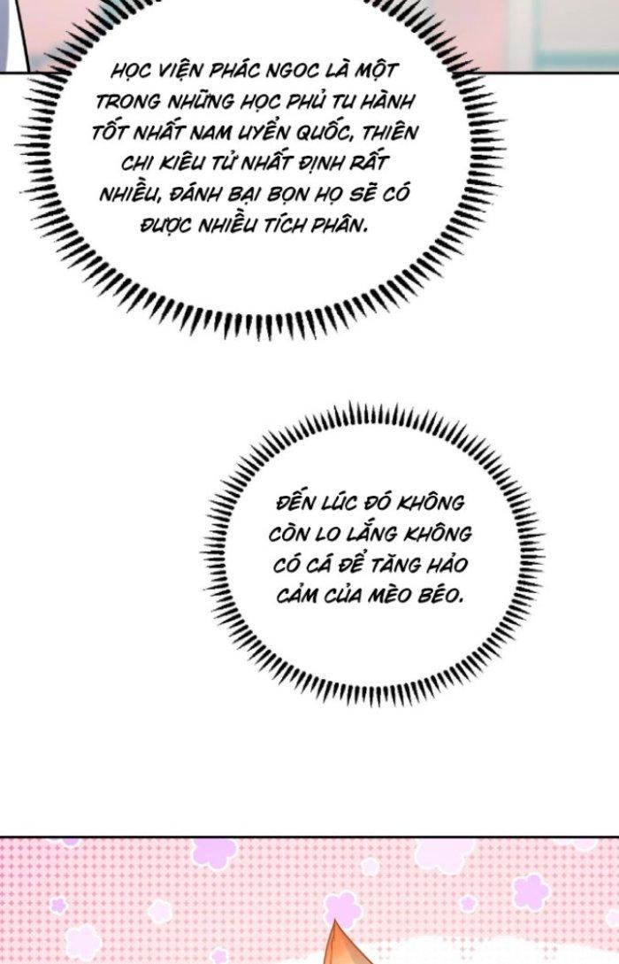 Thần Cấp Khế Ước: Bắt Đầu Từ Một Con Mèo Chapter 4 - Trang 2