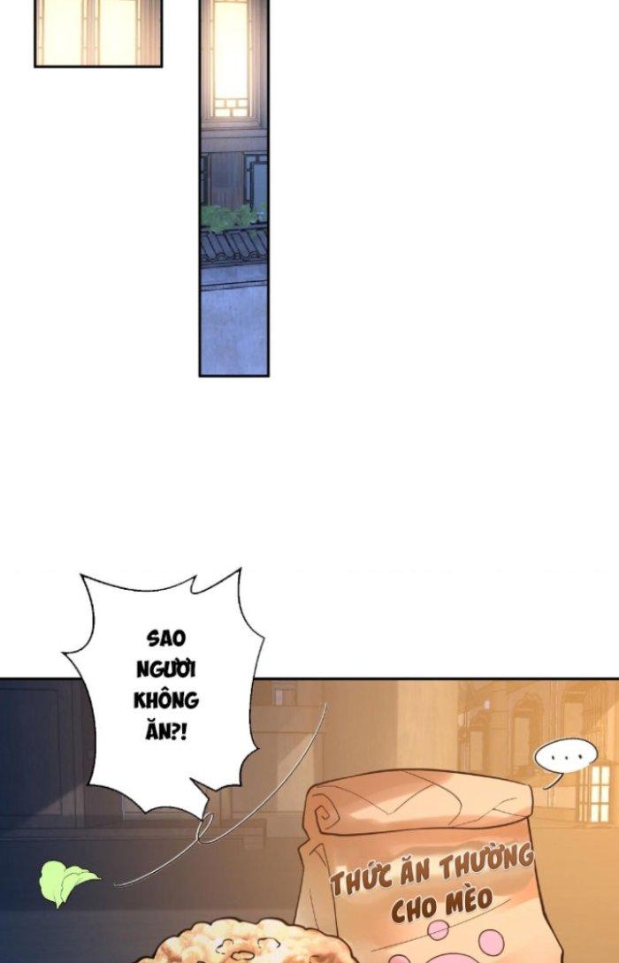 Thần Cấp Khế Ước: Bắt Đầu Từ Một Con Mèo Chapter 4 - Trang 2