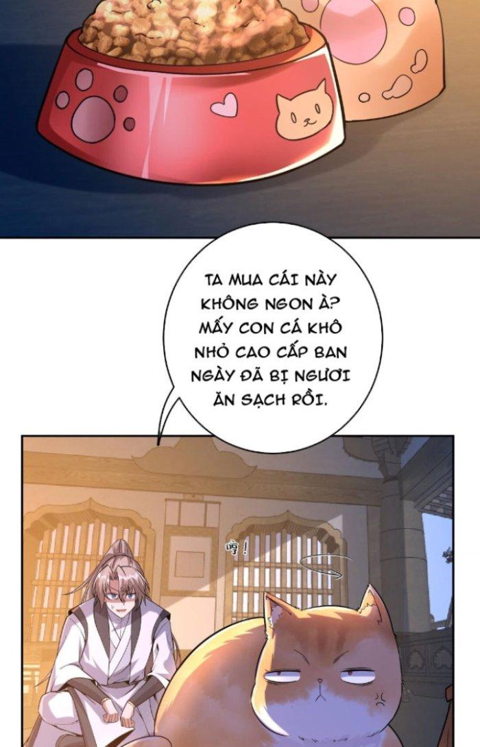 Thần Cấp Khế Ước: Bắt Đầu Từ Một Con Mèo Chapter 4 - Trang 2