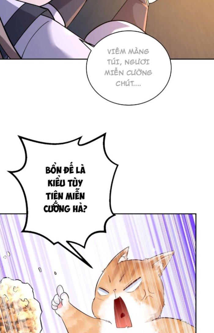 Thần Cấp Khế Ước: Bắt Đầu Từ Một Con Mèo Chapter 4 - Trang 2