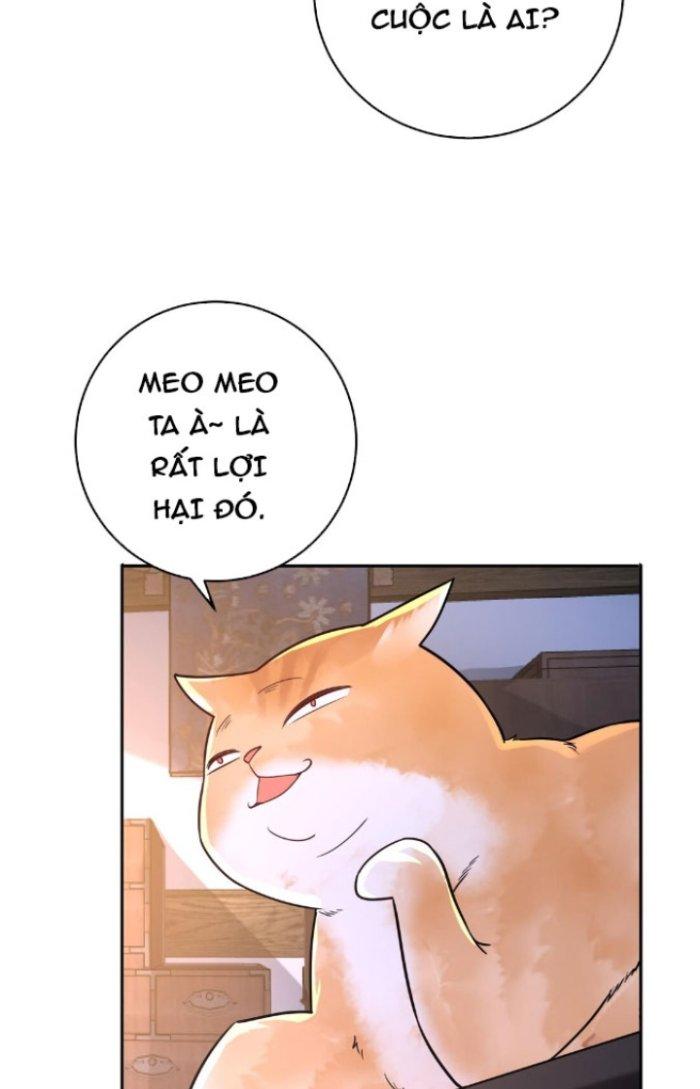 Thần Cấp Khế Ước: Bắt Đầu Từ Một Con Mèo Chapter 4 - Trang 2