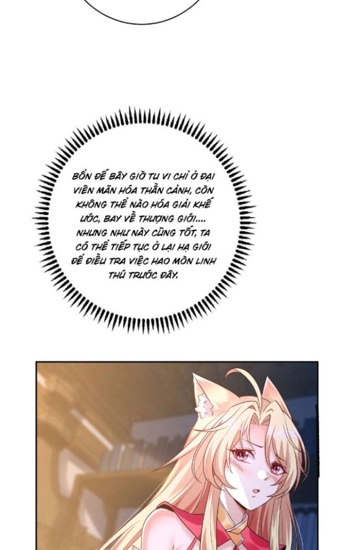 Thần Cấp Khế Ước: Bắt Đầu Từ Một Con Mèo Chapter 4 - Trang 2