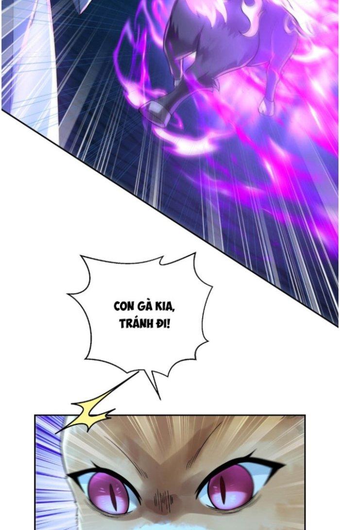 Thần Cấp Khế Ước: Bắt Đầu Từ Một Con Mèo Chapter 5 - Trang 2