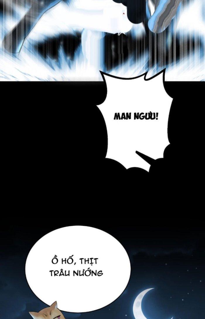 Thần Cấp Khế Ước: Bắt Đầu Từ Một Con Mèo Chapter 5 - Trang 2