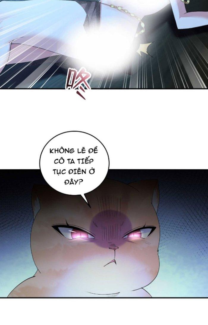 Thần Cấp Khế Ước: Bắt Đầu Từ Một Con Mèo Chapter 6 - Trang 2