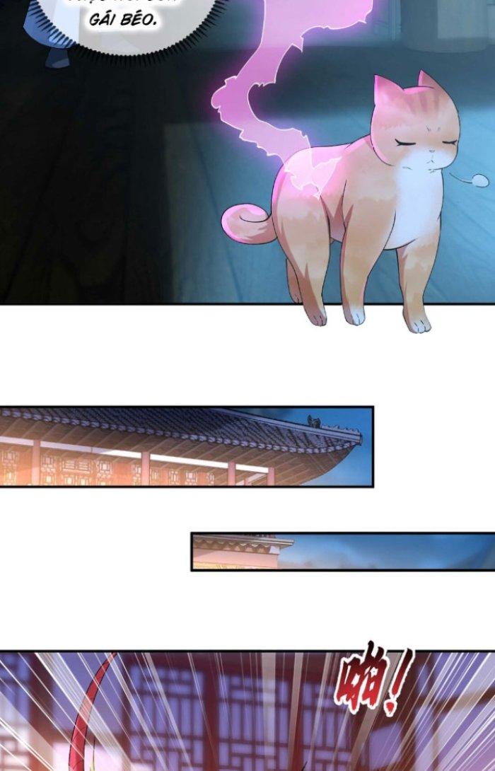 Thần Cấp Khế Ước: Bắt Đầu Từ Một Con Mèo Chapter 6 - Trang 2