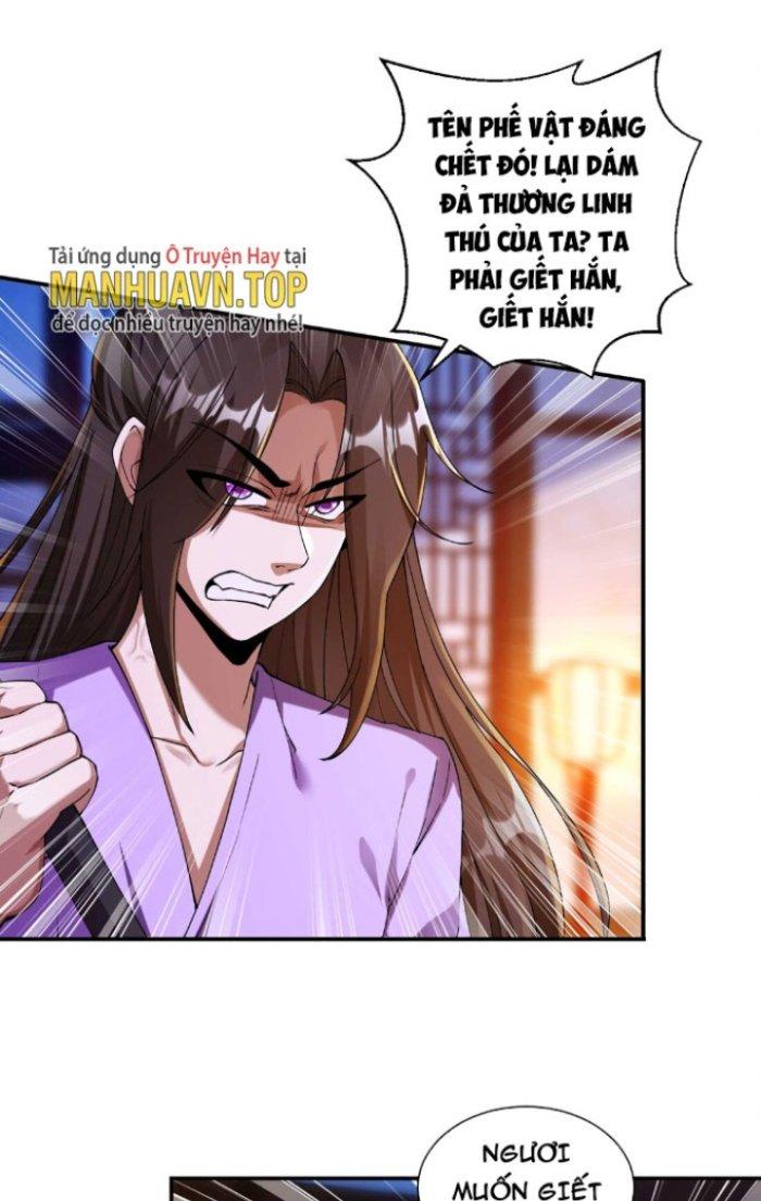 Thần Cấp Khế Ước: Bắt Đầu Từ Một Con Mèo Chapter 6 - Trang 2