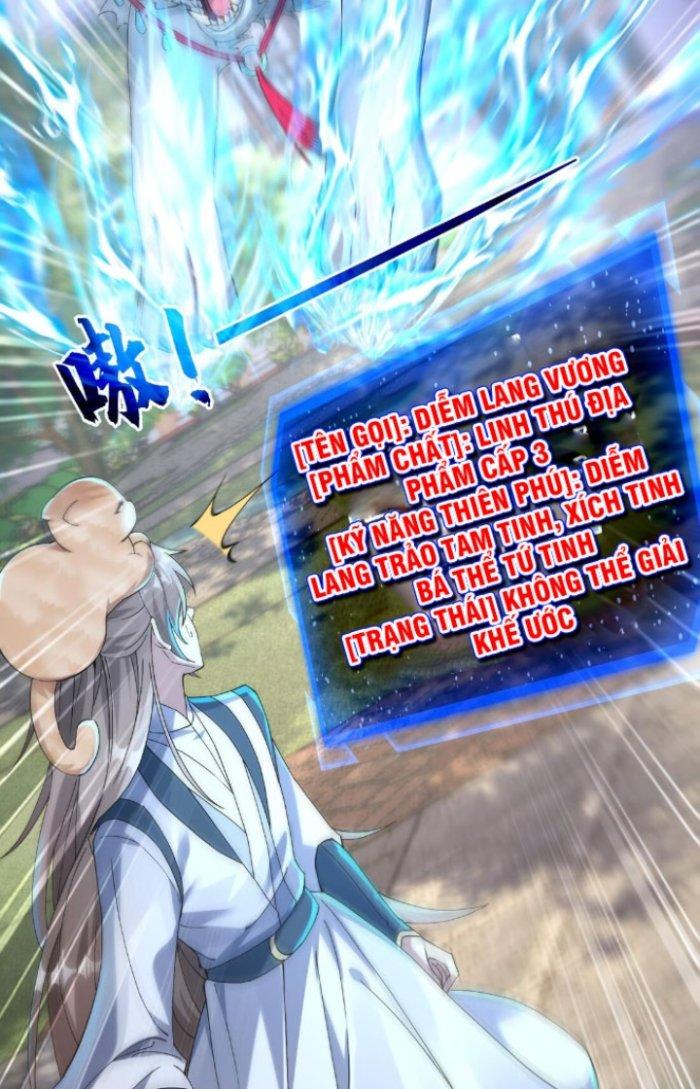 Thần Cấp Khế Ước: Bắt Đầu Từ Một Con Mèo Chapter 7 - Trang 2