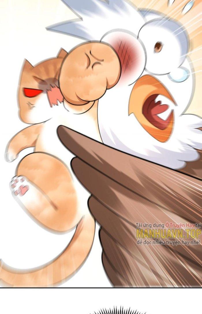 Thần Cấp Khế Ước: Bắt Đầu Từ Một Con Mèo Chapter 7 - Trang 2