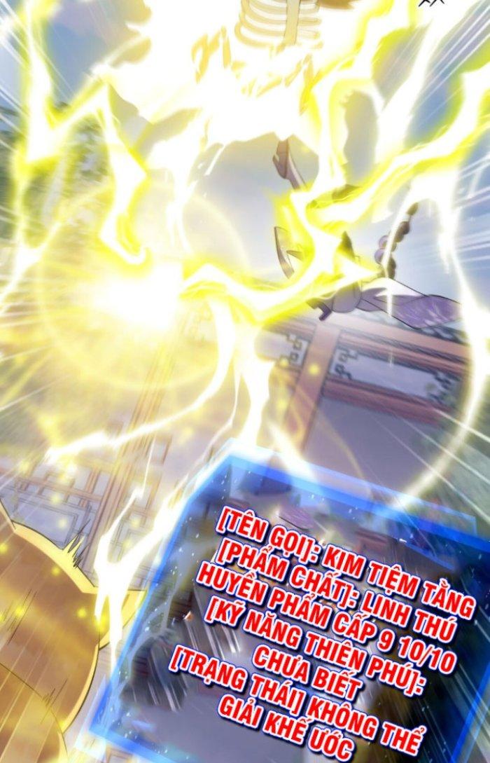 Thần Cấp Khế Ước: Bắt Đầu Từ Một Con Mèo Chapter 7 - Trang 2