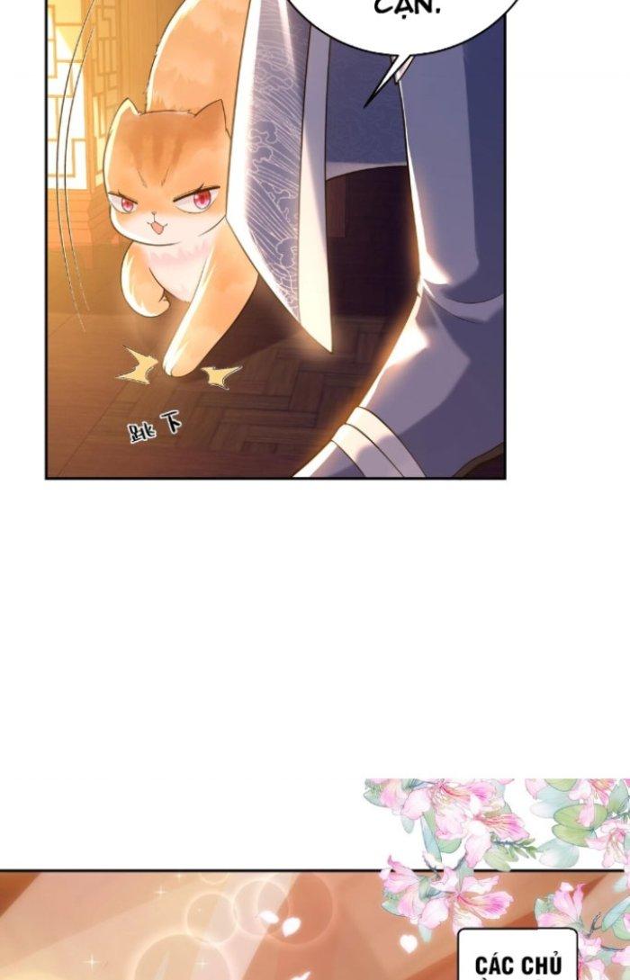 Thần Cấp Khế Ước: Bắt Đầu Từ Một Con Mèo Chapter 8 - Trang 2