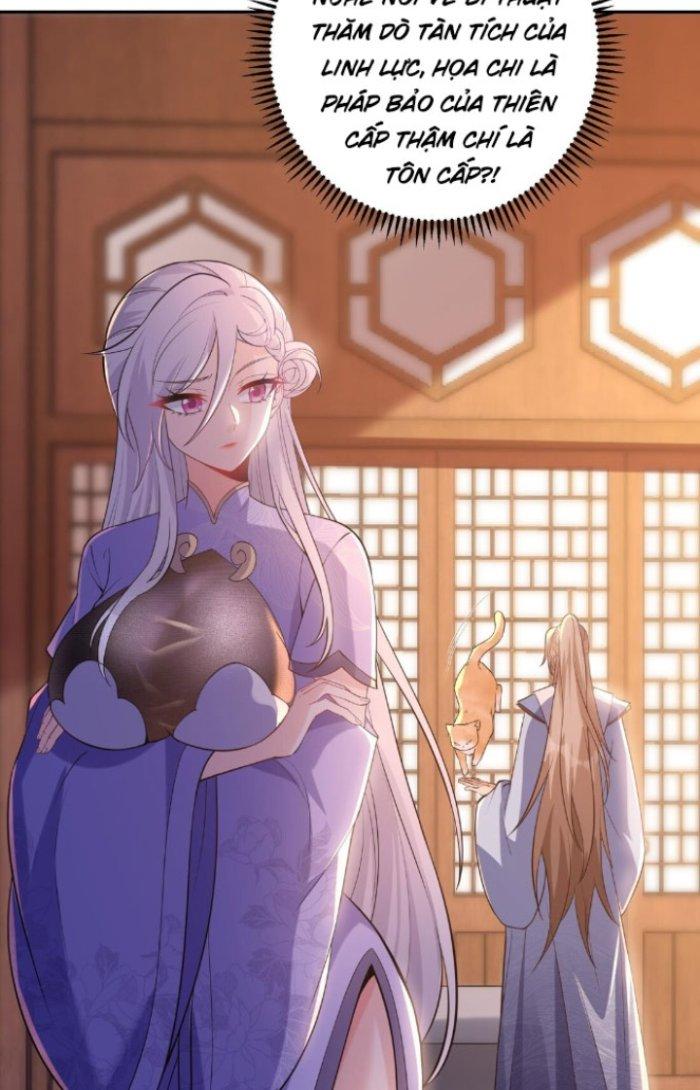 Thần Cấp Khế Ước: Bắt Đầu Từ Một Con Mèo Chapter 8 - Trang 2