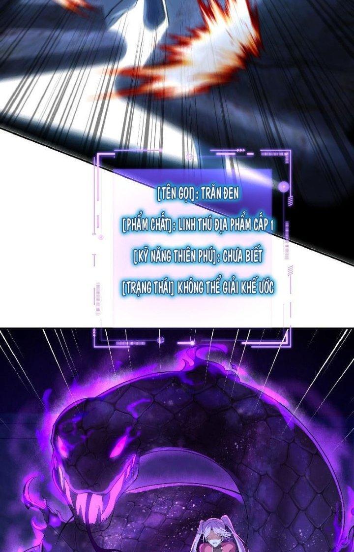 Thần Cấp Khế Ước: Bắt Đầu Từ Một Con Mèo Chapter 9 - Trang 2