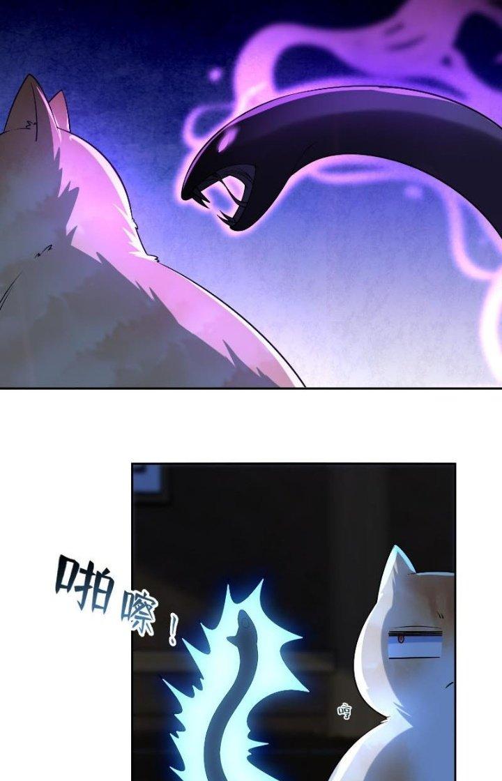 Thần Cấp Khế Ước: Bắt Đầu Từ Một Con Mèo Chapter 9 - Trang 2