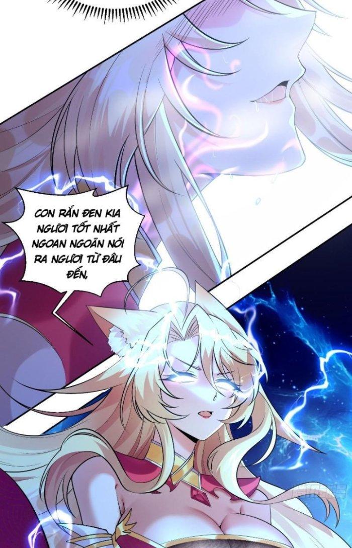 Thần Cấp Khế Ước: Bắt Đầu Từ Một Con Mèo Chapter 11 - Trang 2