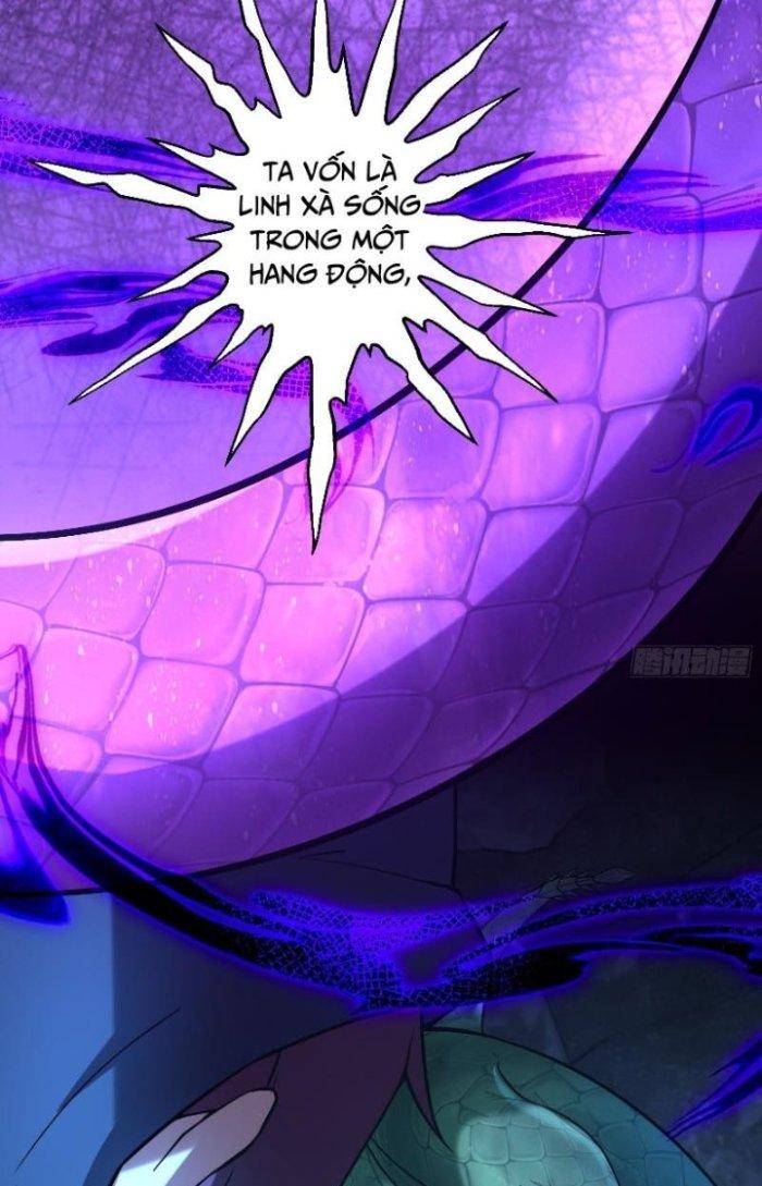 Thần Cấp Khế Ước: Bắt Đầu Từ Một Con Mèo Chapter 11 - Trang 2