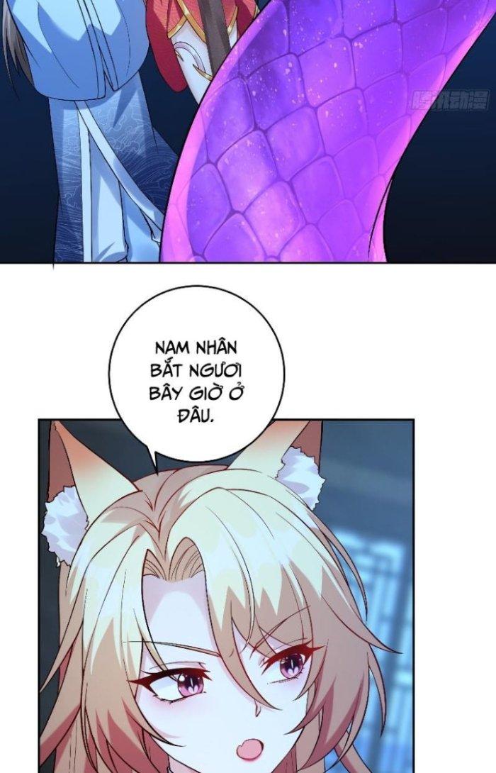 Thần Cấp Khế Ước: Bắt Đầu Từ Một Con Mèo Chapter 11 - Trang 2