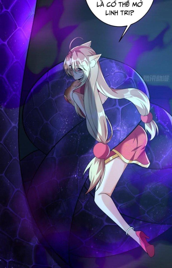 Thần Cấp Khế Ước: Bắt Đầu Từ Một Con Mèo Chapter 11 - Trang 2