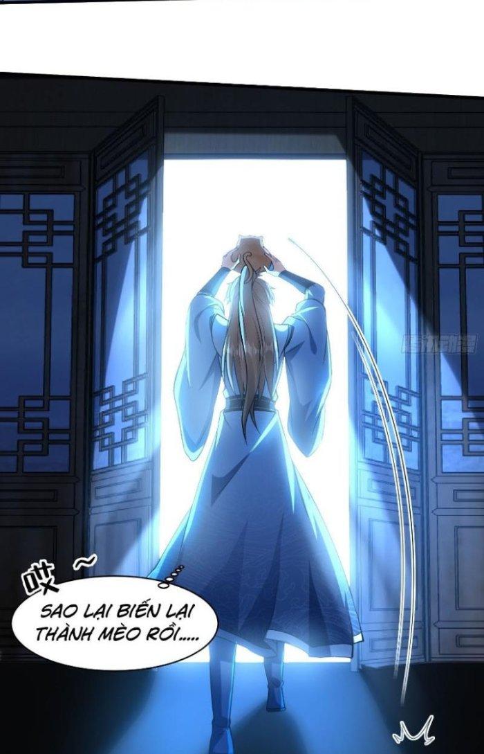 Thần Cấp Khế Ước: Bắt Đầu Từ Một Con Mèo Chapter 11 - Trang 2