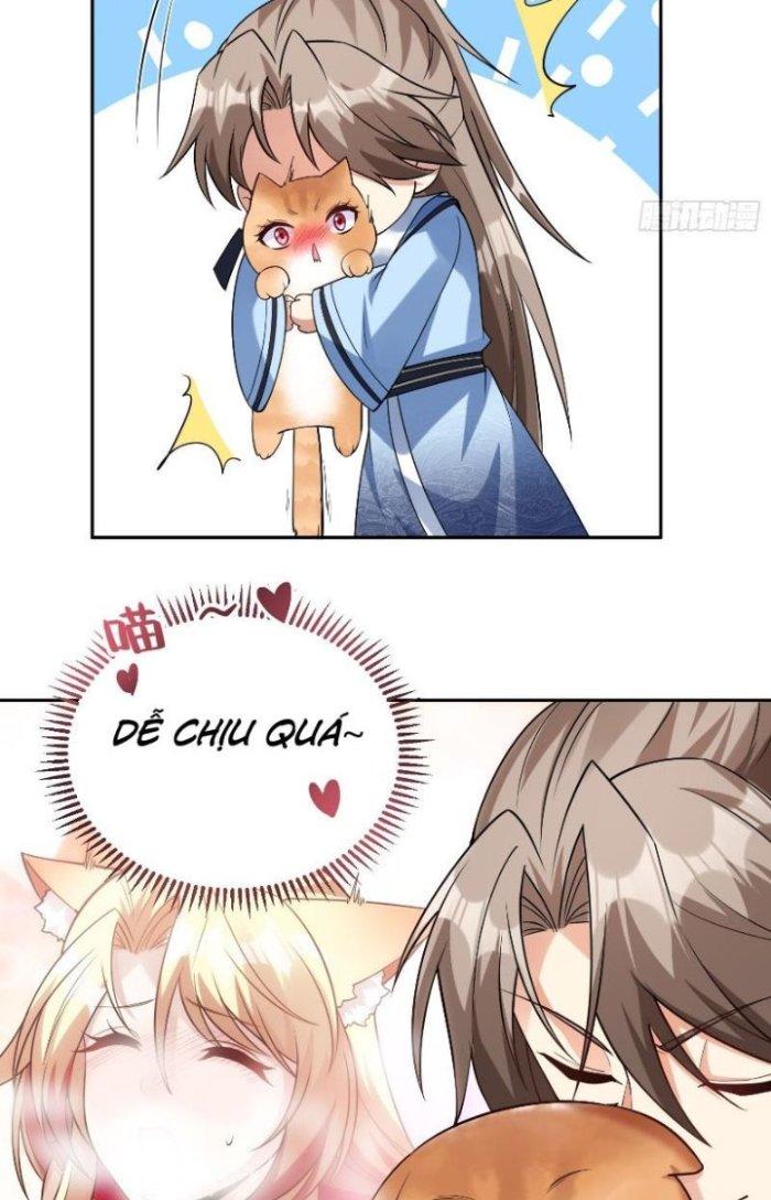 Thần Cấp Khế Ước: Bắt Đầu Từ Một Con Mèo Chapter 12 - Trang 2