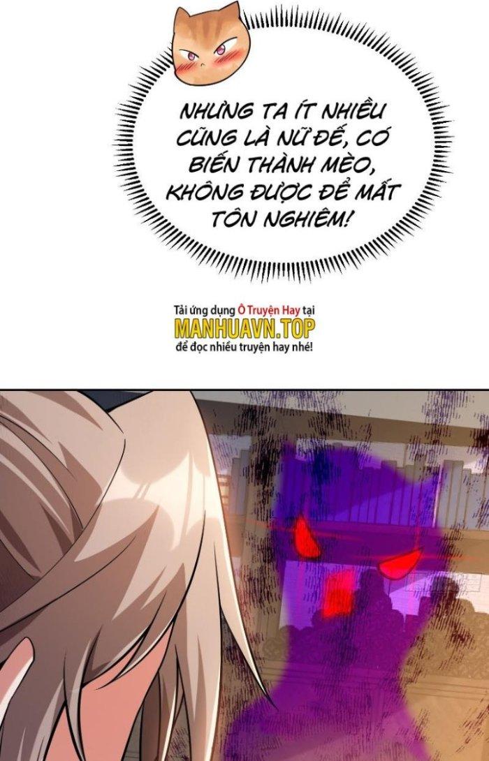Thần Cấp Khế Ước: Bắt Đầu Từ Một Con Mèo Chapter 12 - Trang 2
