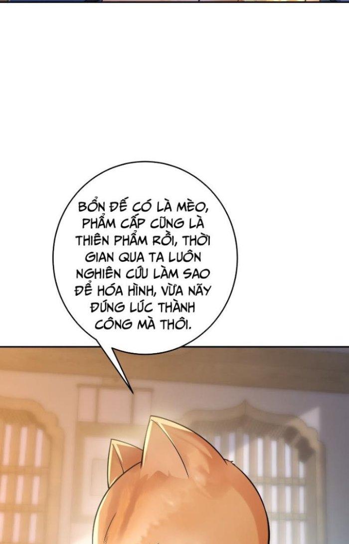 Thần Cấp Khế Ước: Bắt Đầu Từ Một Con Mèo Chapter 12 - Trang 2