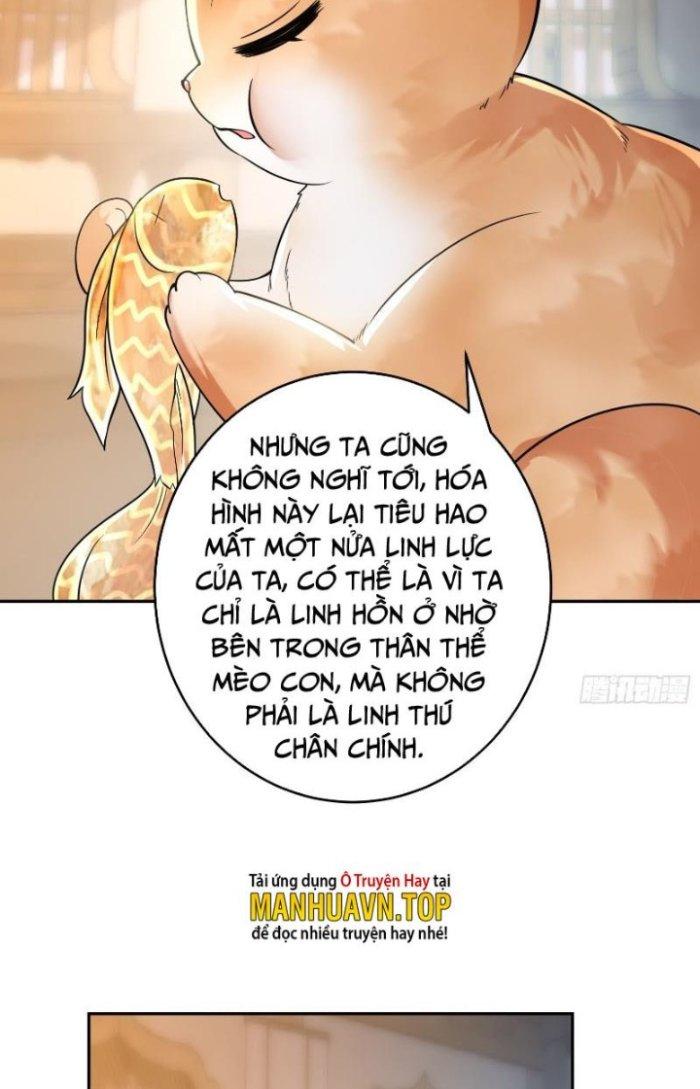 Thần Cấp Khế Ước: Bắt Đầu Từ Một Con Mèo Chapter 12 - Trang 2