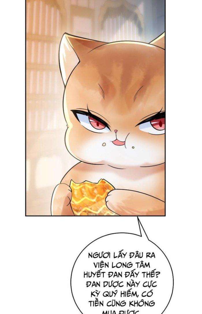 Thần Cấp Khế Ước: Bắt Đầu Từ Một Con Mèo Chapter 12 - Trang 2